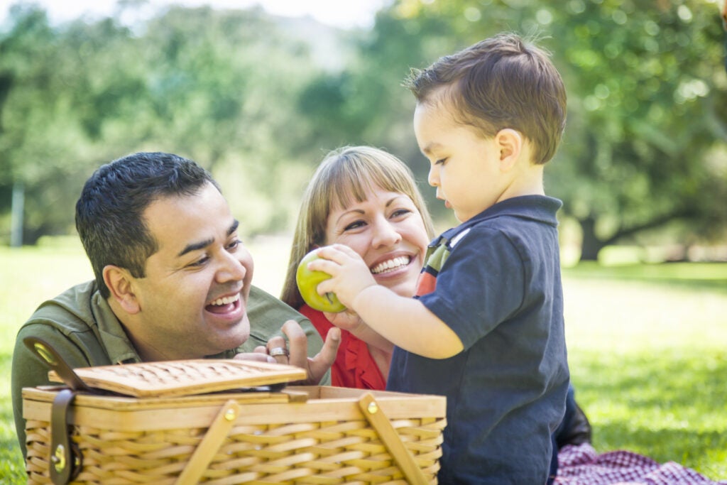 A father, mother and son picnicking