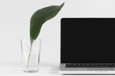 Sustainability in Business Class