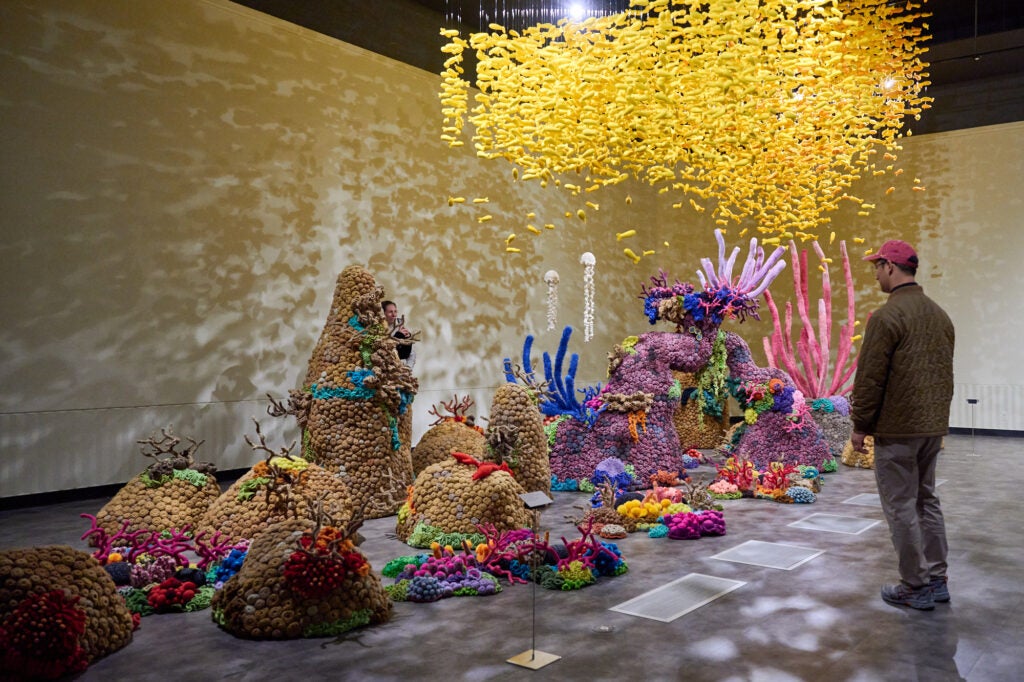 A visitor to the USC Fisher Museum of Art views an art installation representing coral reef ecosystems and resilience in the face of rising water temperatures.