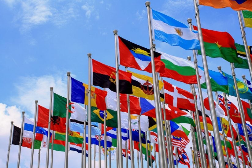 Photo of flags