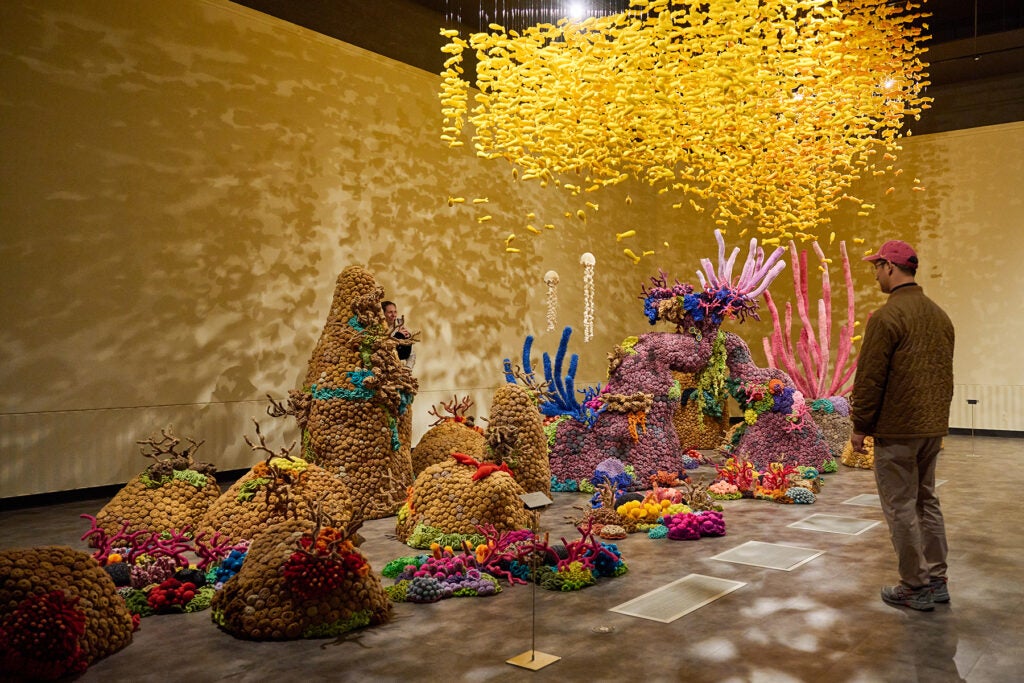 Photo of Mulyana's coral reef exhibit at the Fisher Museum